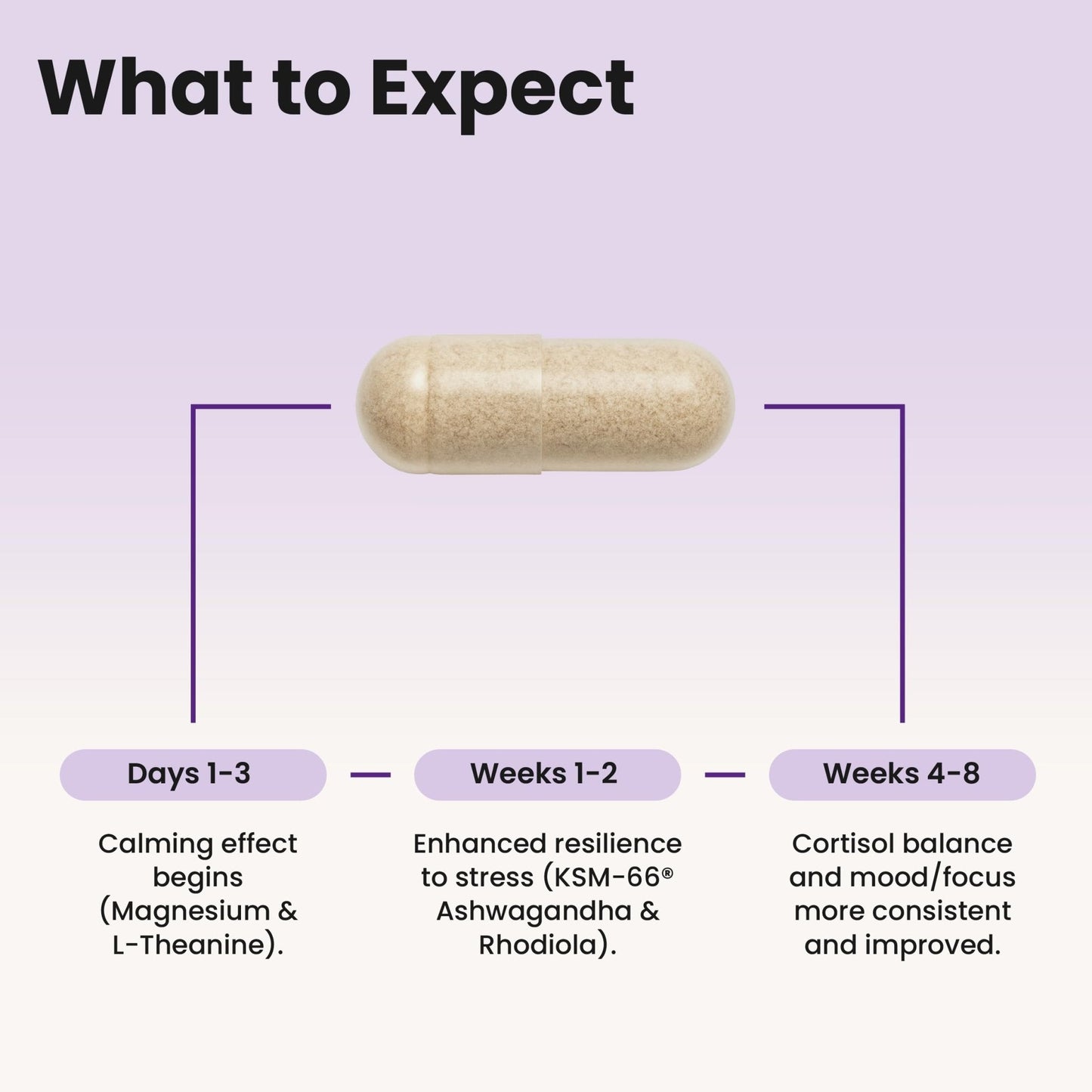 WellPath Soothe Cortisol Manager - Cortisol Supplements for Women with KSM-66® Ashwagandha & L-Theanine - Stress Support, Detox - 11-in-1 Complex, Vegan, Made in USA, Non-GMO, 60 Ct - Maple Wellness Supplements