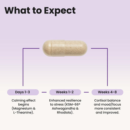 WellPath Soothe Cortisol Manager - Cortisol Supplements for Women with KSM-66® Ashwagandha & L-Theanine - Stress Support, Detox - 11-in-1 Complex, Vegan, Made in USA, Non-GMO, 60 Ct - Maple Wellness Supplements