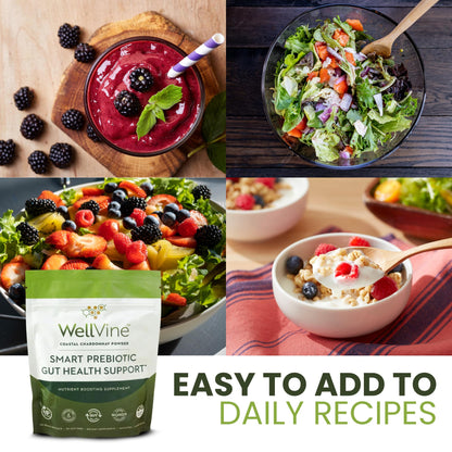 WellVine Premium Smart Prebiotic Gut Health Supplement Powder for Men & Women | Digestive Support & Gut Health With 100% Upcycled Chardonnay Grapes | Plant-Based - Maple Wellness Supplements