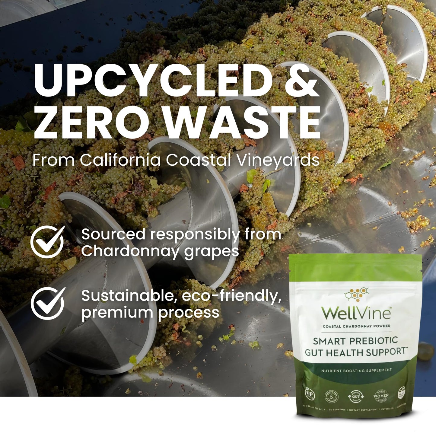 WellVine Premium Smart Prebiotic Gut Health Supplement Powder for Men & Women | Digestive Support & Gut Health With 100% Upcycled Chardonnay Grapes | Plant-Based - Maple Wellness Supplements