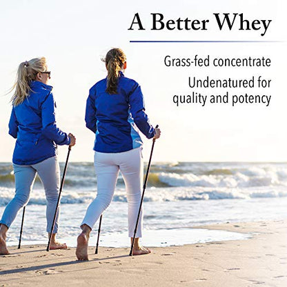 Whey Factors by Natural Factors, Grass Fed Whey Protein Concentrate, Aids Muscle - Maple Wellness Supplements