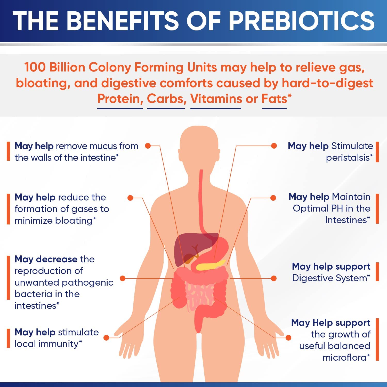 Wholesome Wellness Organic Raw Probiotics 100 Billion CFU, Dr Formulated for Women and Men, Complete Adult Supplement with Prebiotics - Maple Wellness Supplements