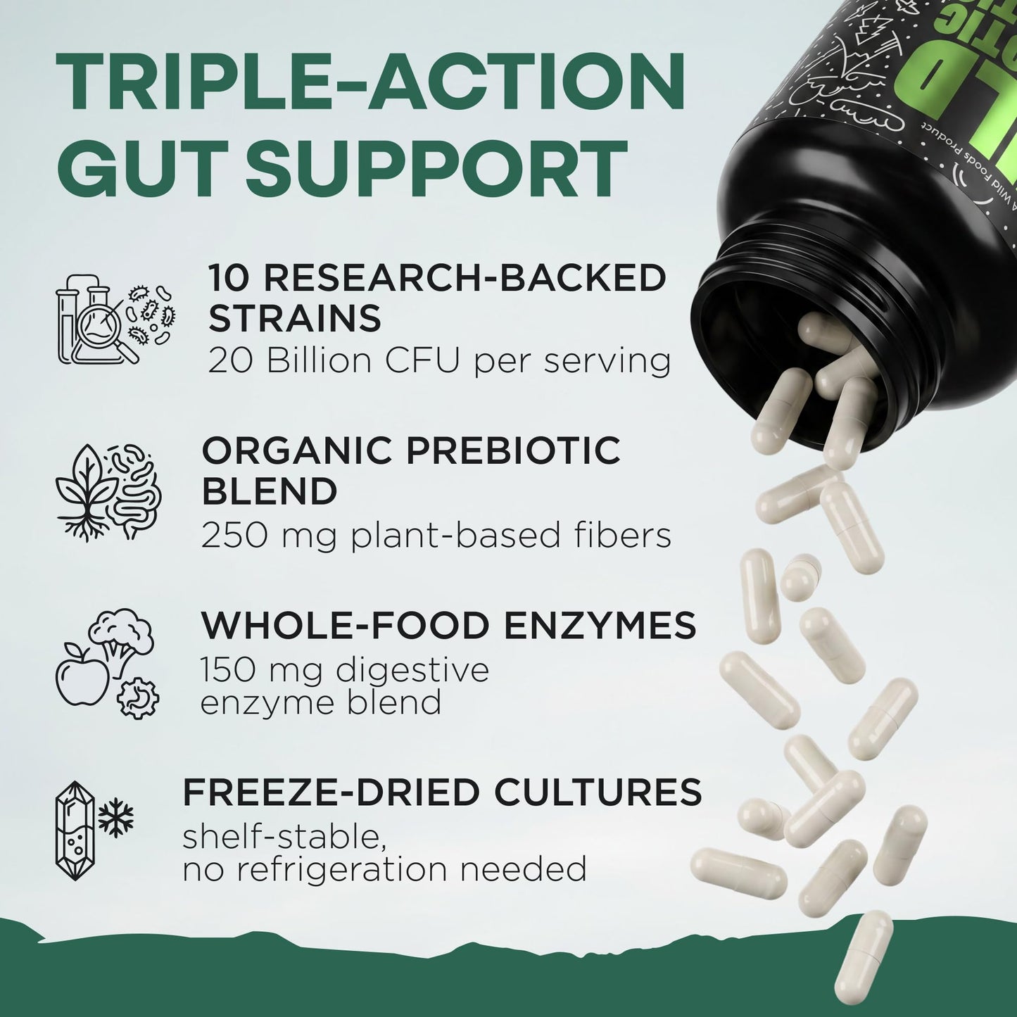 Wild Prebiotics and Probiotics with Digestive Enzymes | 20 Billion CFU - 10 Strains for Women & Men | Support Gut Health & Digestion Supplements | Non-GMO Prebiotic Fiber | 30 Capsules - Maple Wellness Supplements