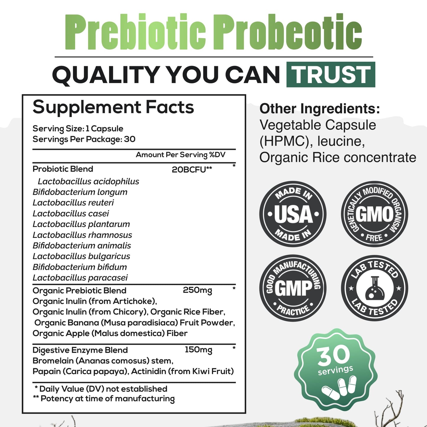 Wild Prebiotics and Probiotics with Digestive Enzymes | 20 Billion CFU - 10 Strains for Women & Men | Support Gut Health & Digestion Supplements | Non-GMO Prebiotic Fiber | 30 Capsules - Maple Wellness Supplements