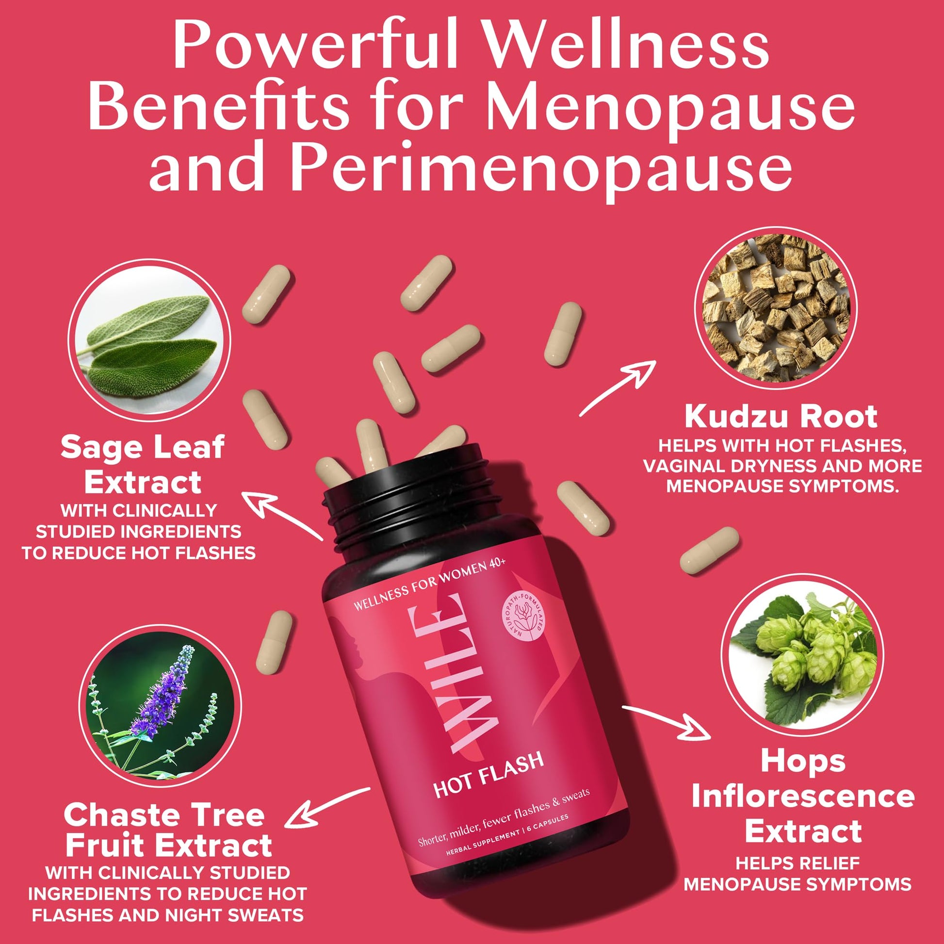 WILE Menopause and Perimenopause Supplements for Women - Hot Flashes and Night Sweats Relief with Kudzu Root - Premenopause Support for Stress, Hot Flash, Hormone Balance & Restful Sleep, 30 Servings - Maple Wellness Supplements