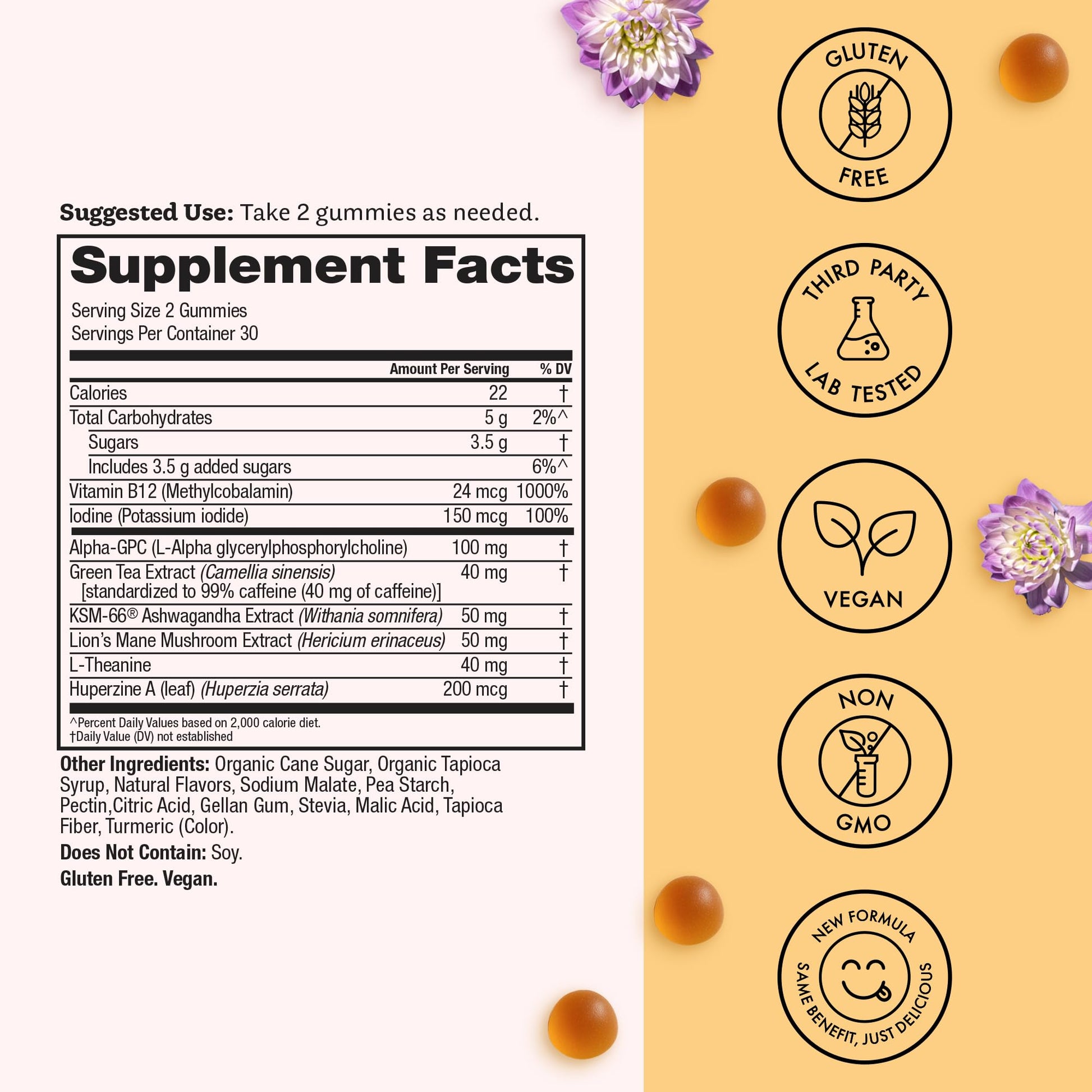 Winged Wellness Rise Up, Energy & Focus Gummies for Women - Daily Brain Boost Gummy Supplement with Natural Caffeine, Ashwagandha, B12, Nootropics Alpha-GPC & Lion’s Mane - Pineapple, 60 Gummies - Maple Wellness Supplements