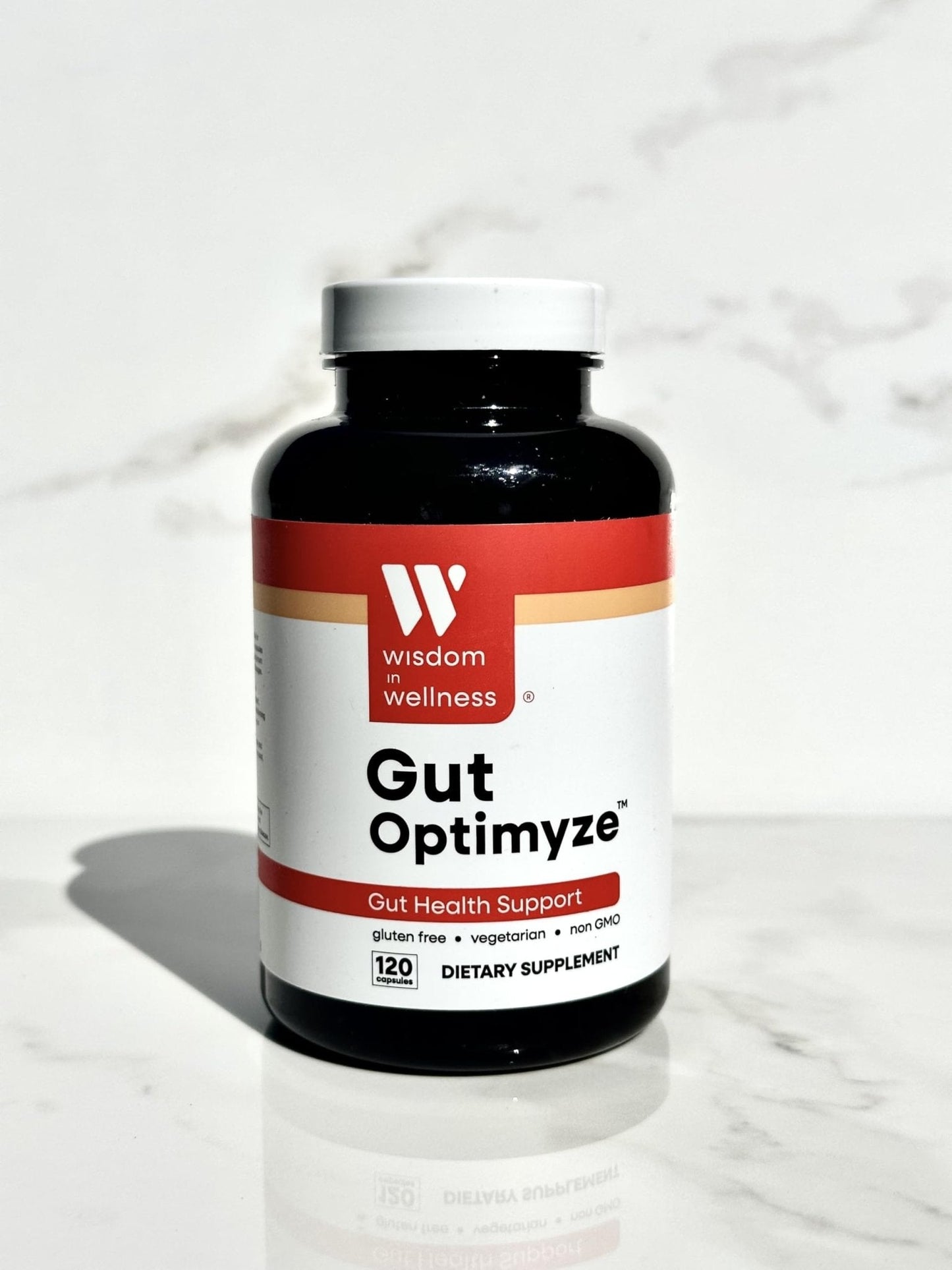 Wisdom In Wellness Gut Optimyze - 120 Digestive Health Capsules - Vitamins & Probiotics for Gut Health - Complete for Men & Women - Digestive Gut Health Pills - Healthy Gut Probiotics - Maple Wellness Supplements