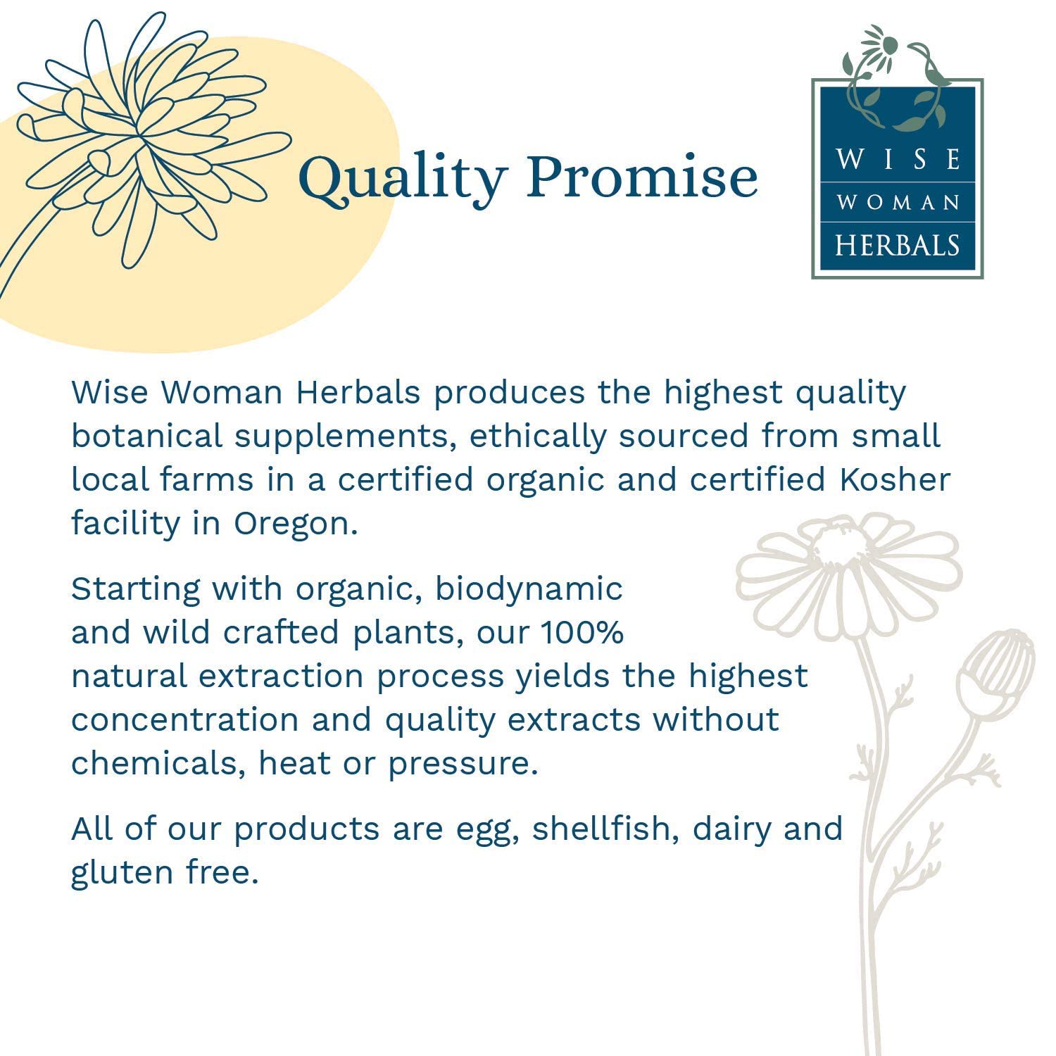 Wise Woman Herbals – Fiber Flow Capsules 120 Count – Supports Healthy Digestive Function, Gut Health, Bowel Health and Regularity - Maple Wellness Supplements