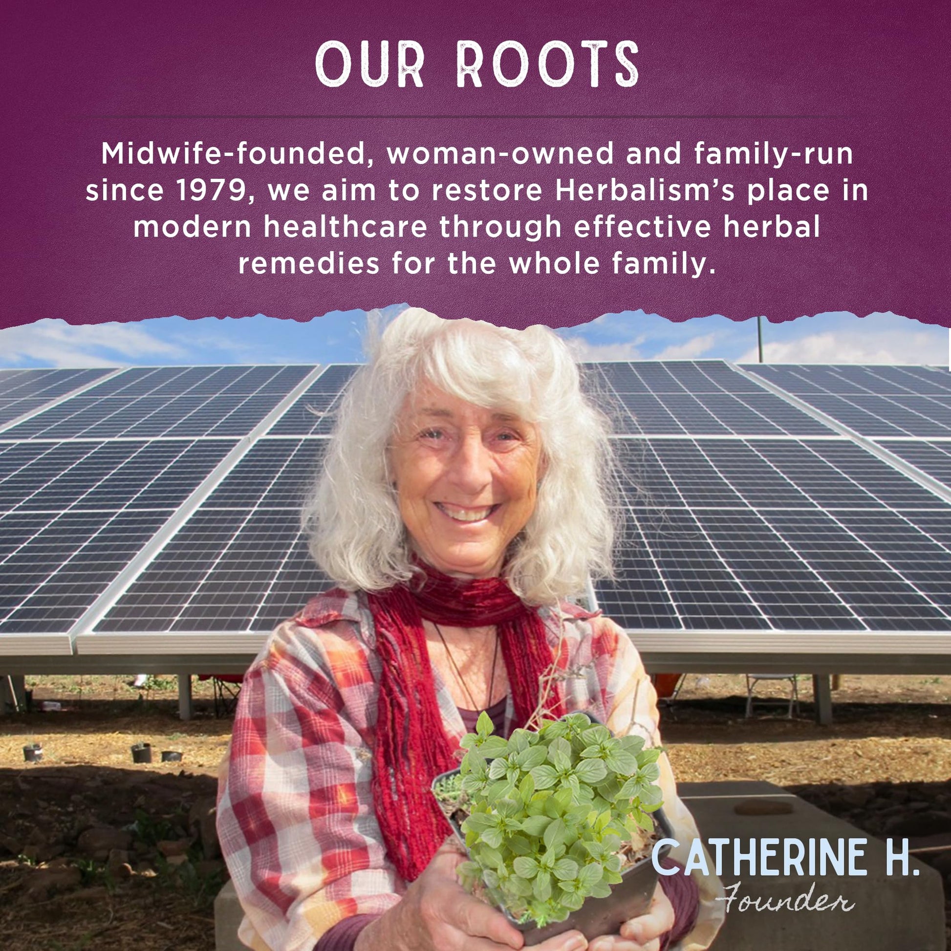 WishGarden Herbs AfterEase Drops for Postpartum Cramps & After-Birth Contractions – Liquid Herbal Supplement – Women's Postpartum Essential – 4 oz - Maple Wellness Supplements