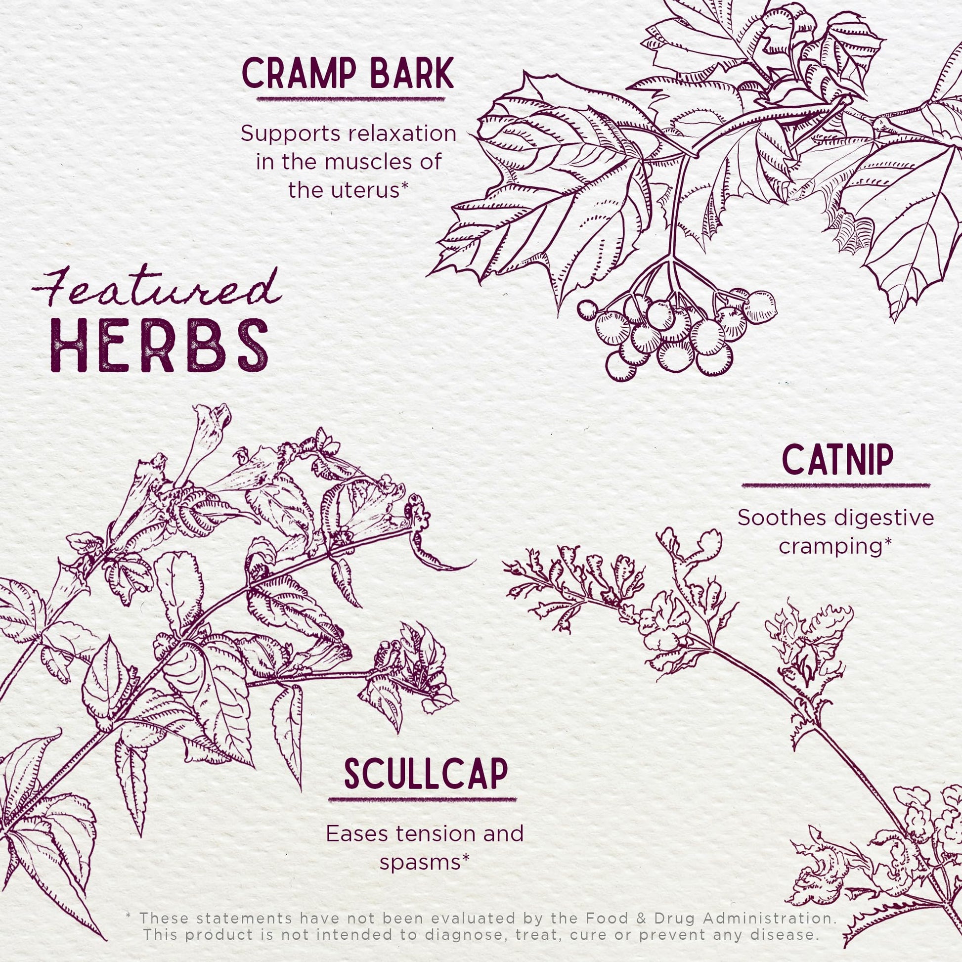 WishGarden Herbs Cramp Release - Natural Herbal Menstrual Cramp Relief Supplement with Cramp Bark, Fast-Acting Tincture Soothes Period Cramps, Supports a Healthy Hormone Cycle, Mood & Relaxation, 4oz - Maple Wellness Supplements
