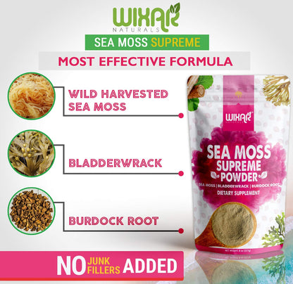 Wixar Wildcrafted Sea Moss Powder – (8 Ounces) – Natural Irish Sea Moss and Bladderwra - Maple Wellness Supplements