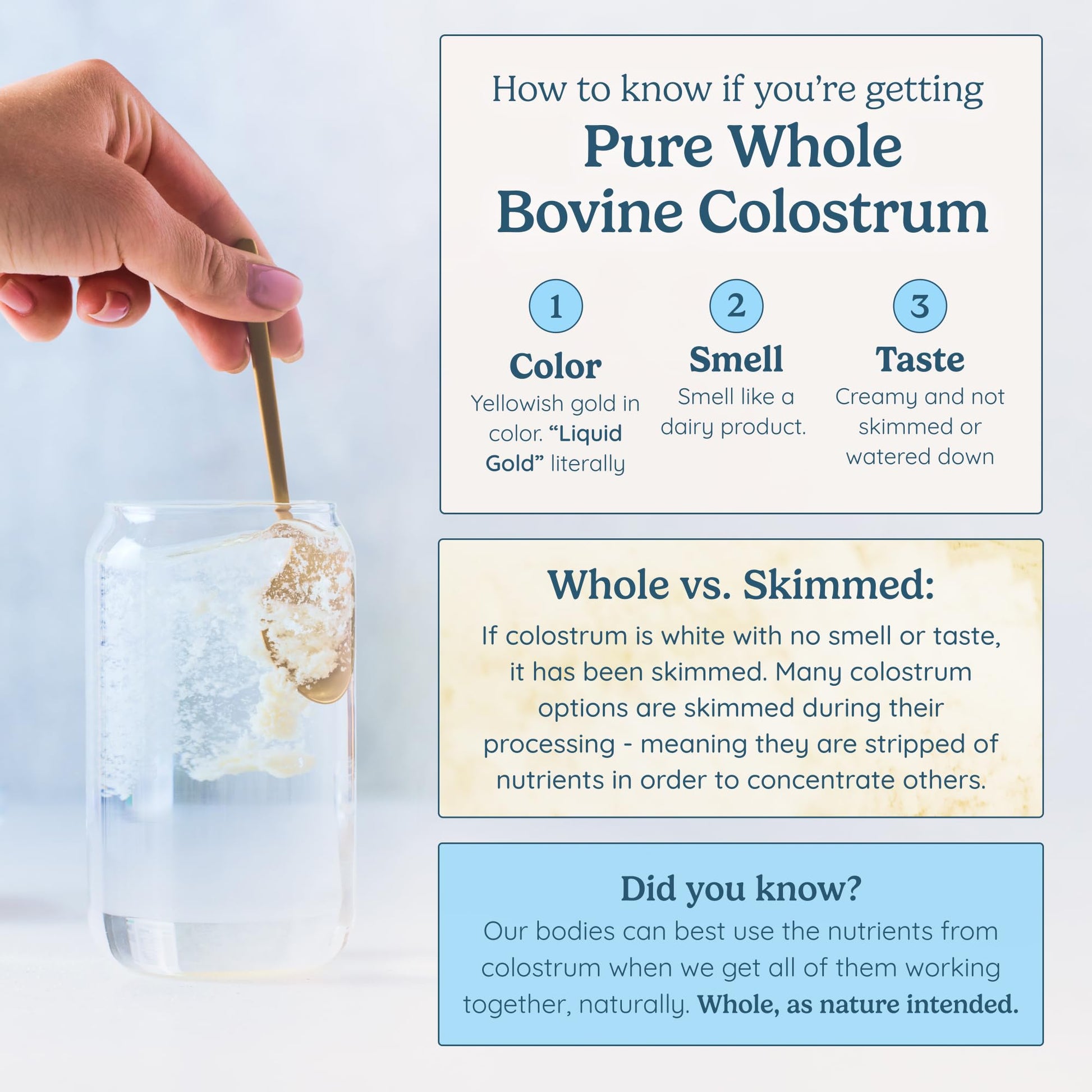 WONDERCOW Colostrum Supplement Powder for Gut Health, Immune Support & Wellness | Natural IgG Pure Whole Bovine Colostrum Superfood - Maple Wellness Supplements