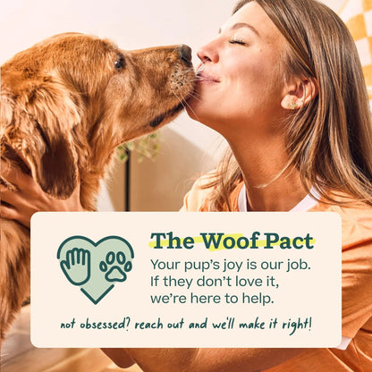 Woof Doggy Dental Pupsicle Mix - Dog Teeth Cleaning Powder for The Pupsicle - Long Lasting Postbiotic Dental Enzyme Mix to Support Oral Health for Dogs - Maple Wellness Supplements