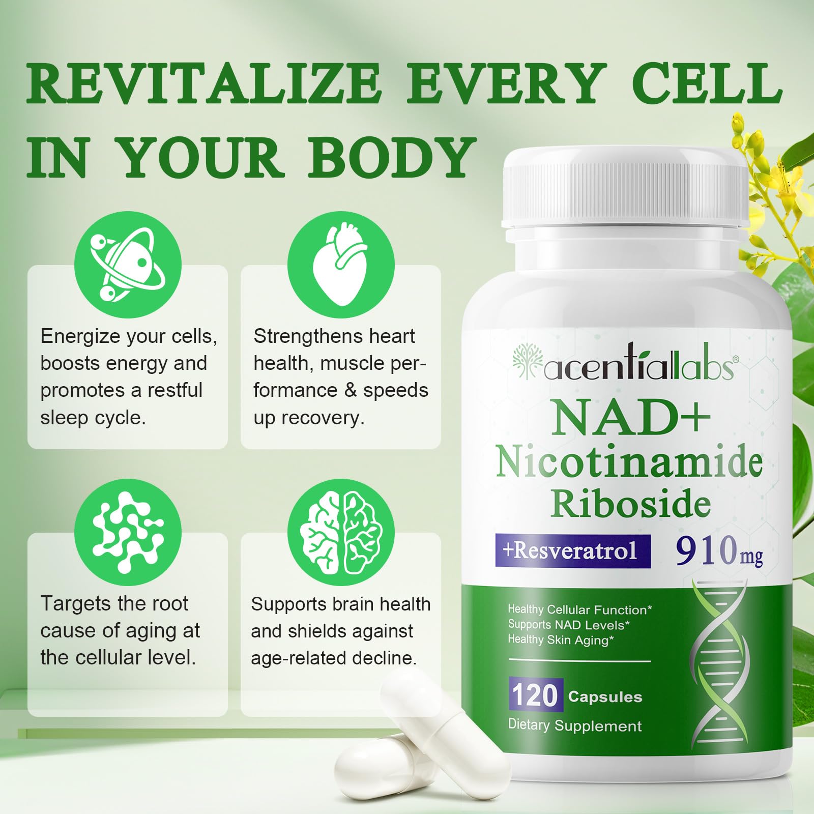 XINSZLIN NAD Supplement, NAD Nicotinamide Riboside Resveratrol 910mg, High Purity NAD Supplement for Healthy Cellular Function, Supports NAD Levels Healthy Skin Aging Dietary Supplement 120 Capsules - Maple Wellness Supplements