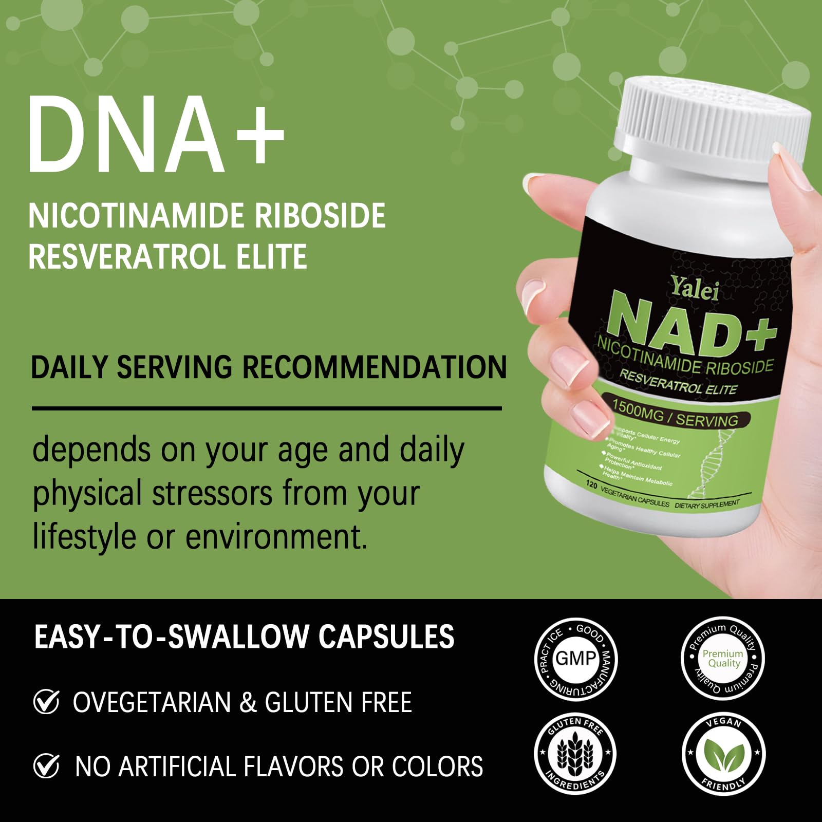 Yalei NAD Resveratrol Supplement 1500mg,120 Veggie Capsules | Liposomal NAD Plus Boosting | Support Cellular Health, Stamina & Healthy Aging for Women & Men | Non-GMO - Maple Wellness Supplements