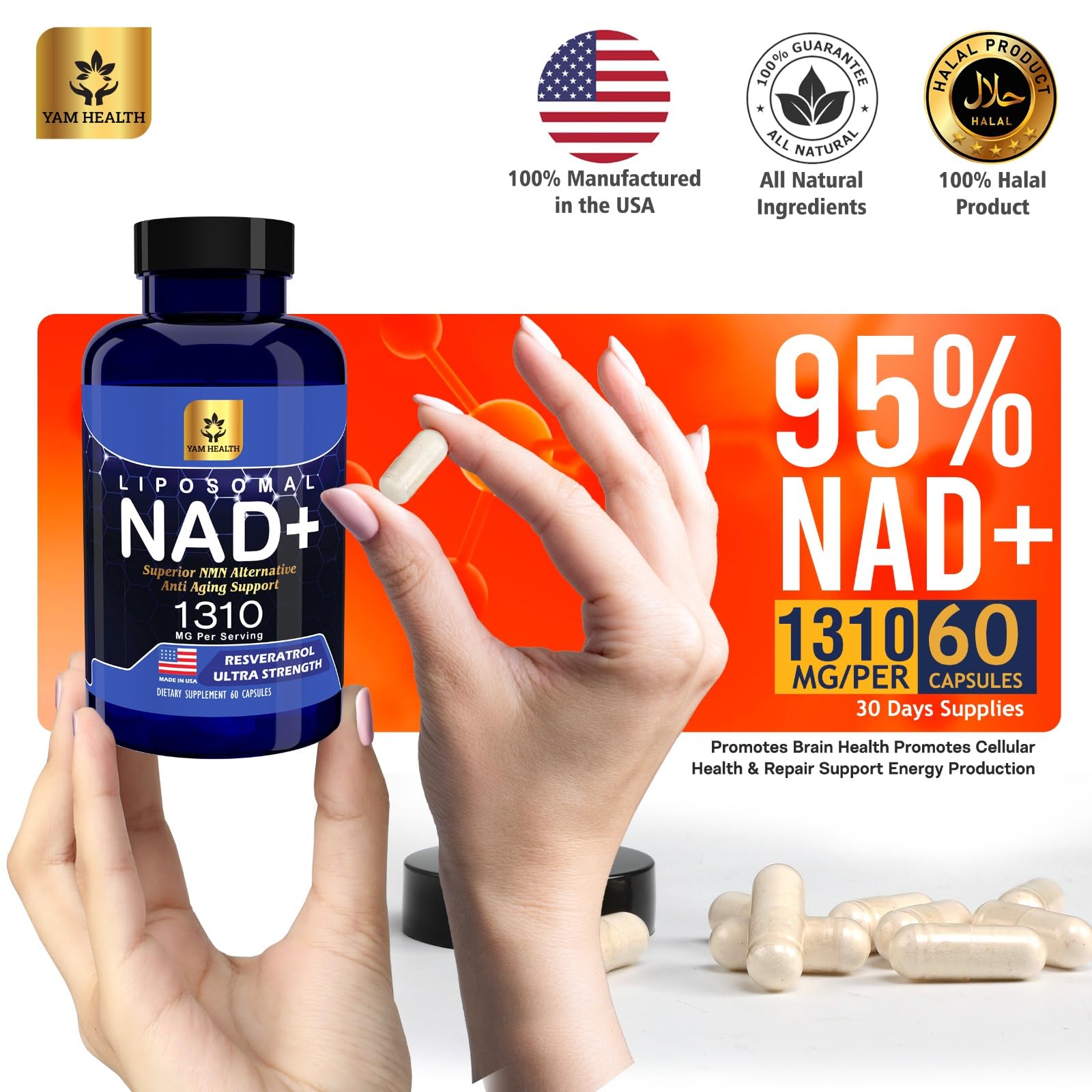 YAM Health Liposomal NAD Nicotinamide Riboside Equivalent with Trans-Resveratrol 300mg, Premium Halal NAD Supplement for Energy Metabolism, DNA Repair and Longevity, Vegan, Non-GMO (60 Count) - Maple Wellness Supplements