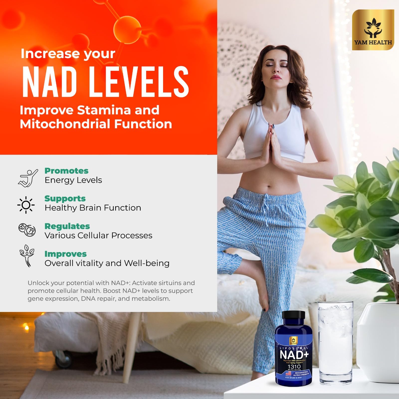YAM Health Liposomal NAD Nicotinamide Riboside Equivalent with Trans-Resveratrol 300mg, Premium Halal NAD Supplement for Energy Metabolism, DNA Repair and Longevity, Vegan, Non-GMO (60 Count) - Maple Wellness Supplements