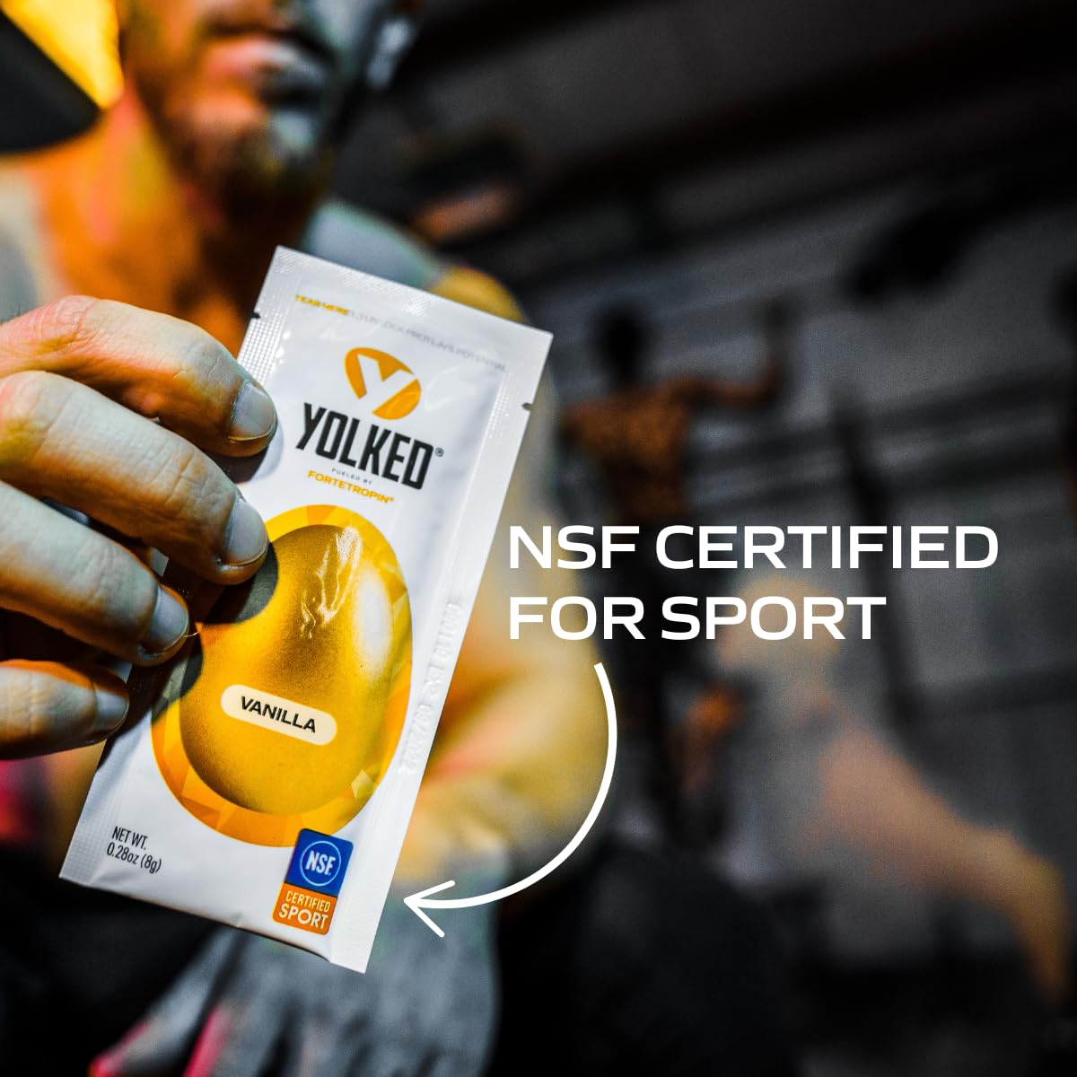 YOLKED - NSF-Certified Muscle Building Supplement - Help Increase Lean Muscle, Reduce Muscle Loss, and Improve Recovery with Fortetropin, 30 Servings - Maple Wellness Supplements