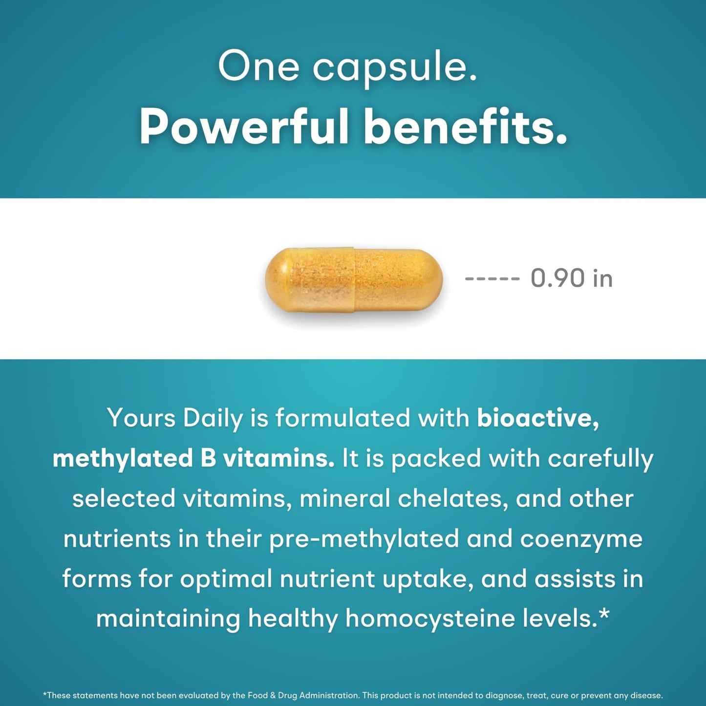 You Vites - Methylated Multivitamin for Men and Women, Methyl Multi Without Iron - 60 Capsules, MTHFR Supplement with Methyl B12, Methylfolate (5-MTHF), CoQ10 for Energy, Heart and Mood Support - Maple Wellness Supplements