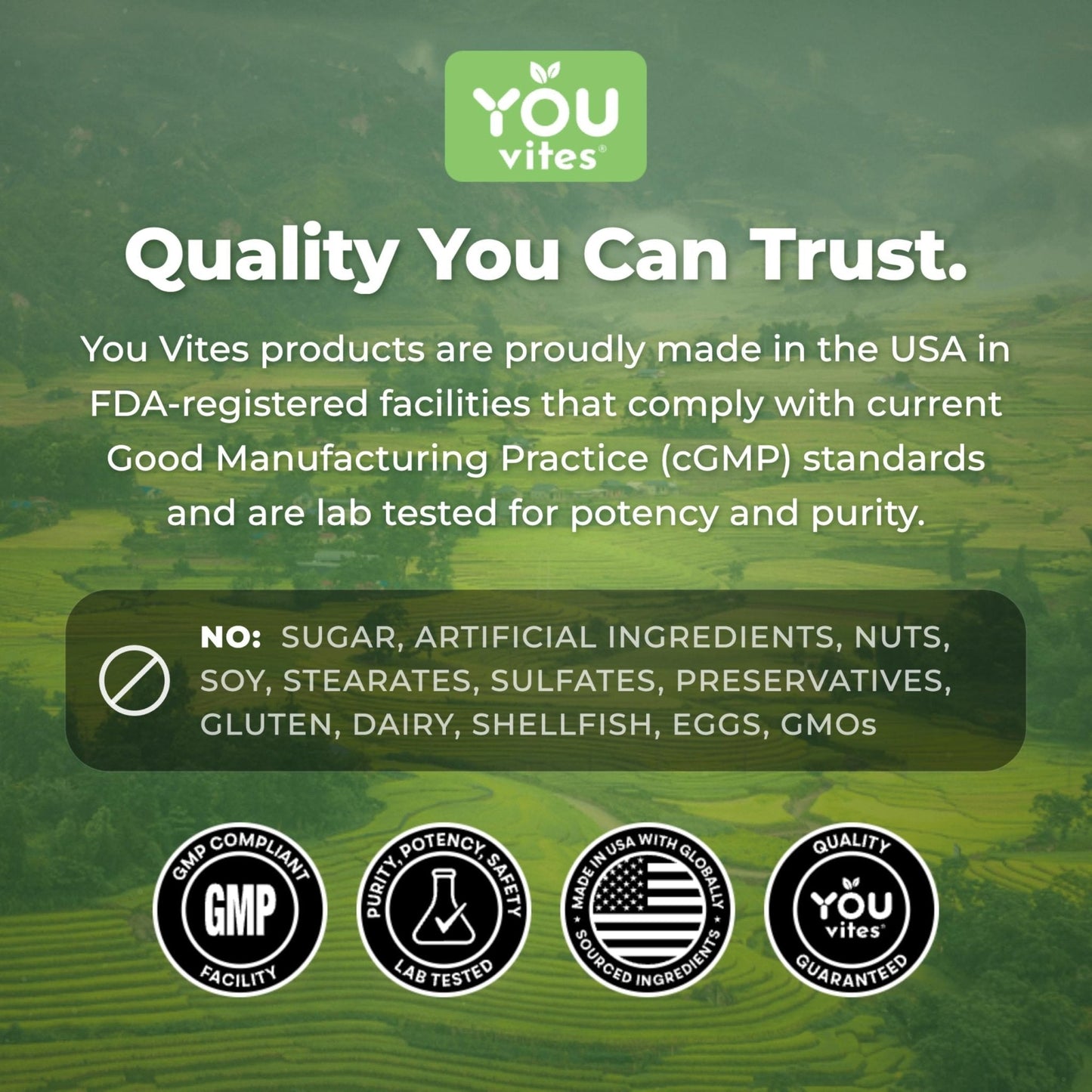 You Vites Threonix Triple Magnesium Complex - Magtein L-Threonate, Bisglycinate Chelate TRAACS & ATA Mg - Brain, Sleep, Mood & Focus Support - High Absorption, Gentle on Stomach - 120 Capsules - Maple Wellness Supplements