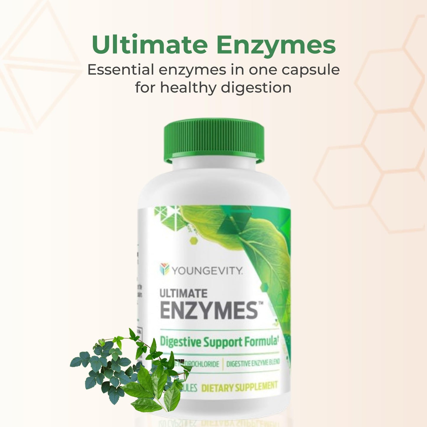 Youngevity Ultimate Enzymes® - Multi Enzymes for Digestion, Gas & Bloating Relief - Betaine HCl, Ox Bile, Pancreatine 10X, Papain 6M, Pepsin 1:3000 (120 Capsules) - Maple Wellness Supplements