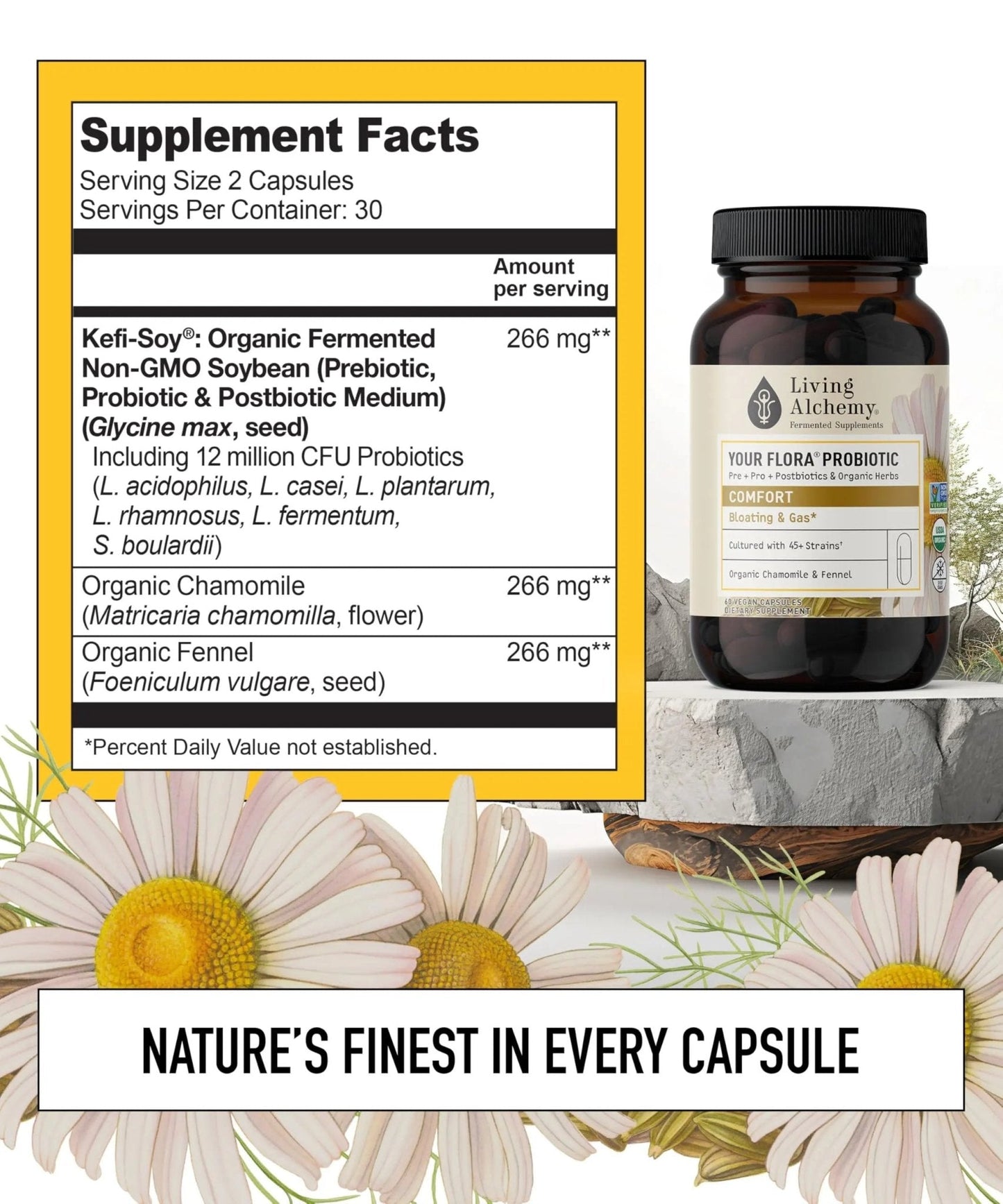 Your Flora Probiotic Comfort – Non-GMO Probiotics with Fermented Soybean, Chamomile, Fennel, Prebiotics, Digestive Enzymes for Digestion & Bloating – Prebiotics, Postbiotics – Living Alchemy, 60 Pcs - Maple Wellness Supplements