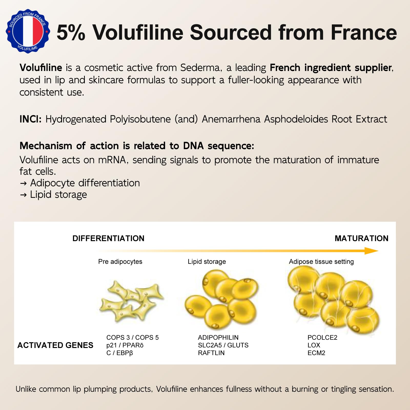 YouthVibe 5% Volufiline Lip Plumper, Nourishing & Anti Aging Over Time with Squalane, Shea Butter, Collagen, Peptide & PDRN - No Burning, No Tingling for Gentle Daily Plumping - Maple Wellness Supplements