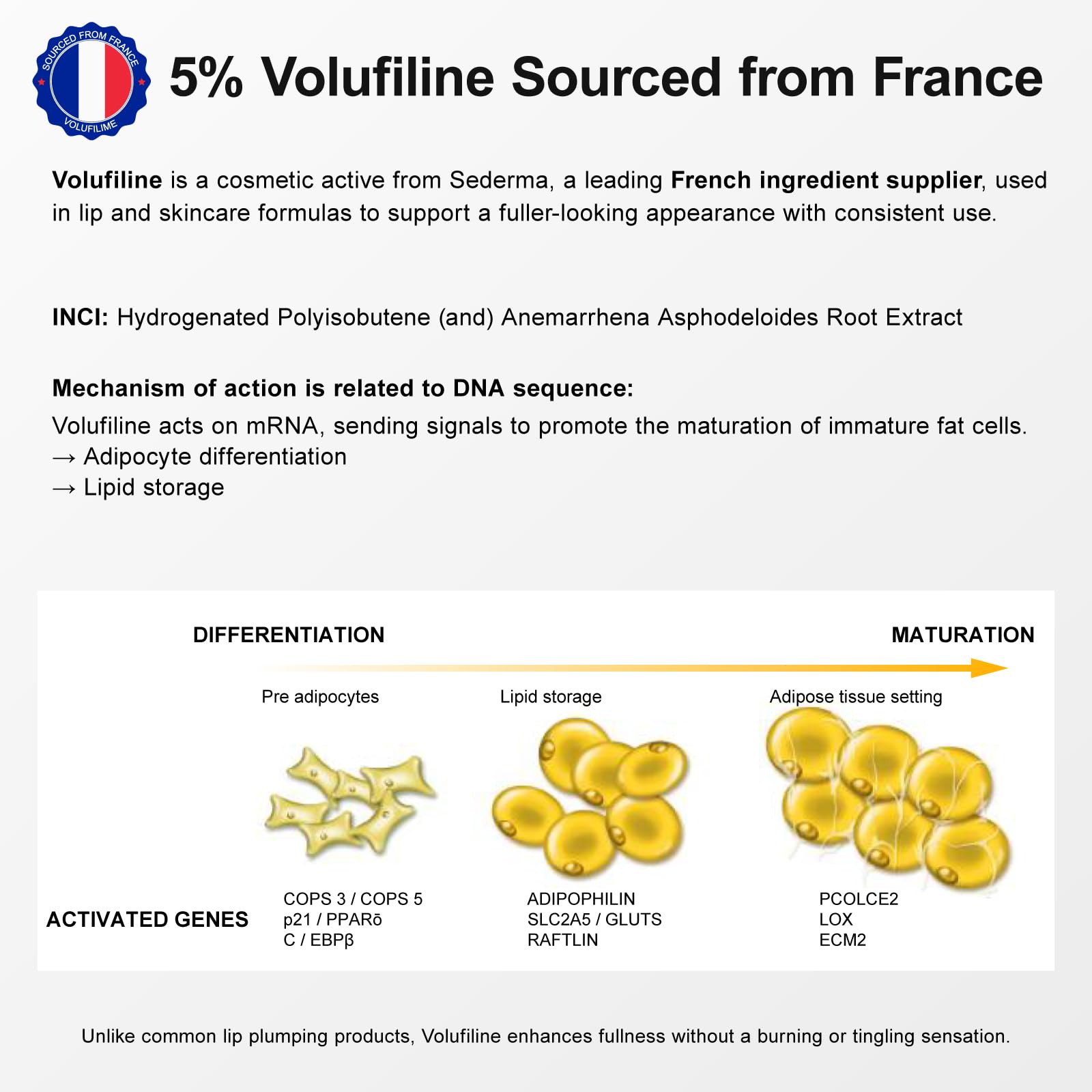 YouthVibe Lip Mask Overnight Moisturizing - Nourish & Hydrate, Antioxidants, 5% Volufiline - Maple Wellness Supplements