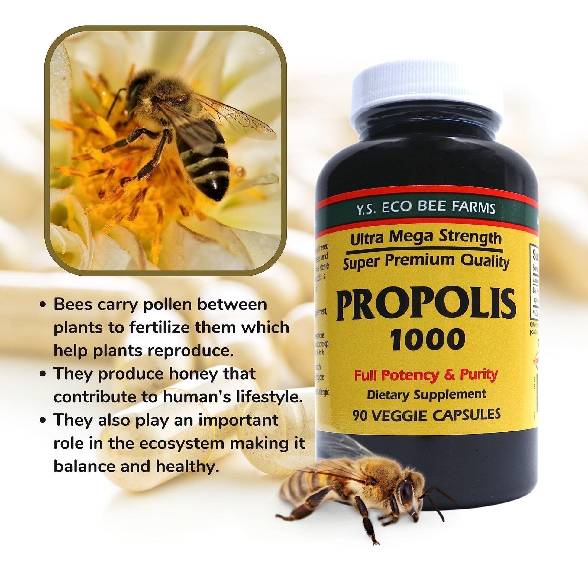 Y.S. Organic Bee Farms Propolis-Raw Unprocessed 1000mg - Your Gateway to Wellness - 90 Capsules with Bonus worldwidenutrition Multi Purpose Key Chain - Maple Wellness Supplements
