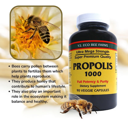 Y.S. Organic Bee Farms Propolis-Raw Unprocessed 1000mg - Your Gateway to Wellness - 90 Capsules with Bonus worldwidenutrition Multi Purpose Key Chain - Maple Wellness Supplements