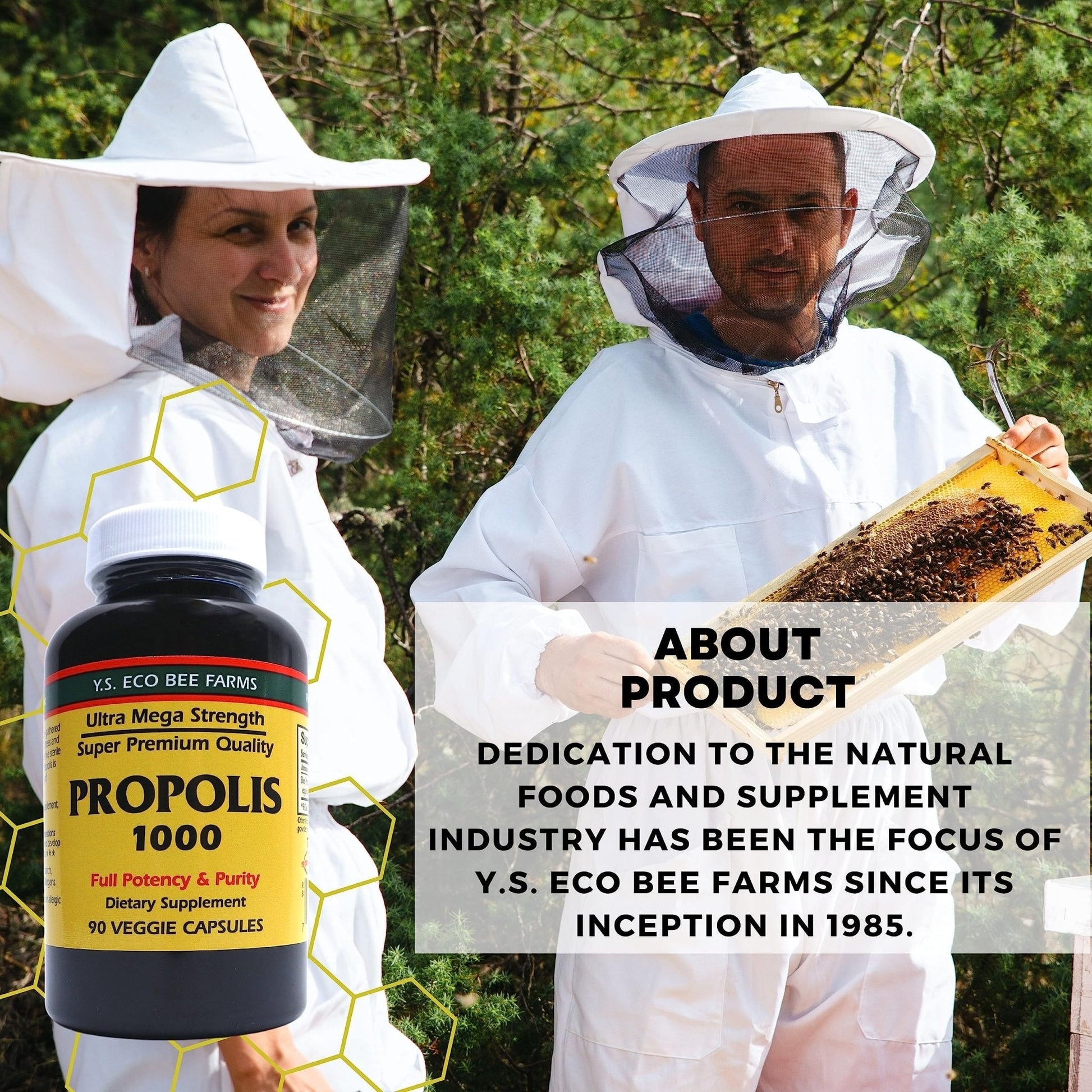 Y.S. Organic Bee Farms Propolis-Raw Unprocessed 1000mg - Your Gateway to Wellness - 90 Capsules with Bonus worldwidenutrition Multi Purpose Key Chain - Maple Wellness Supplements