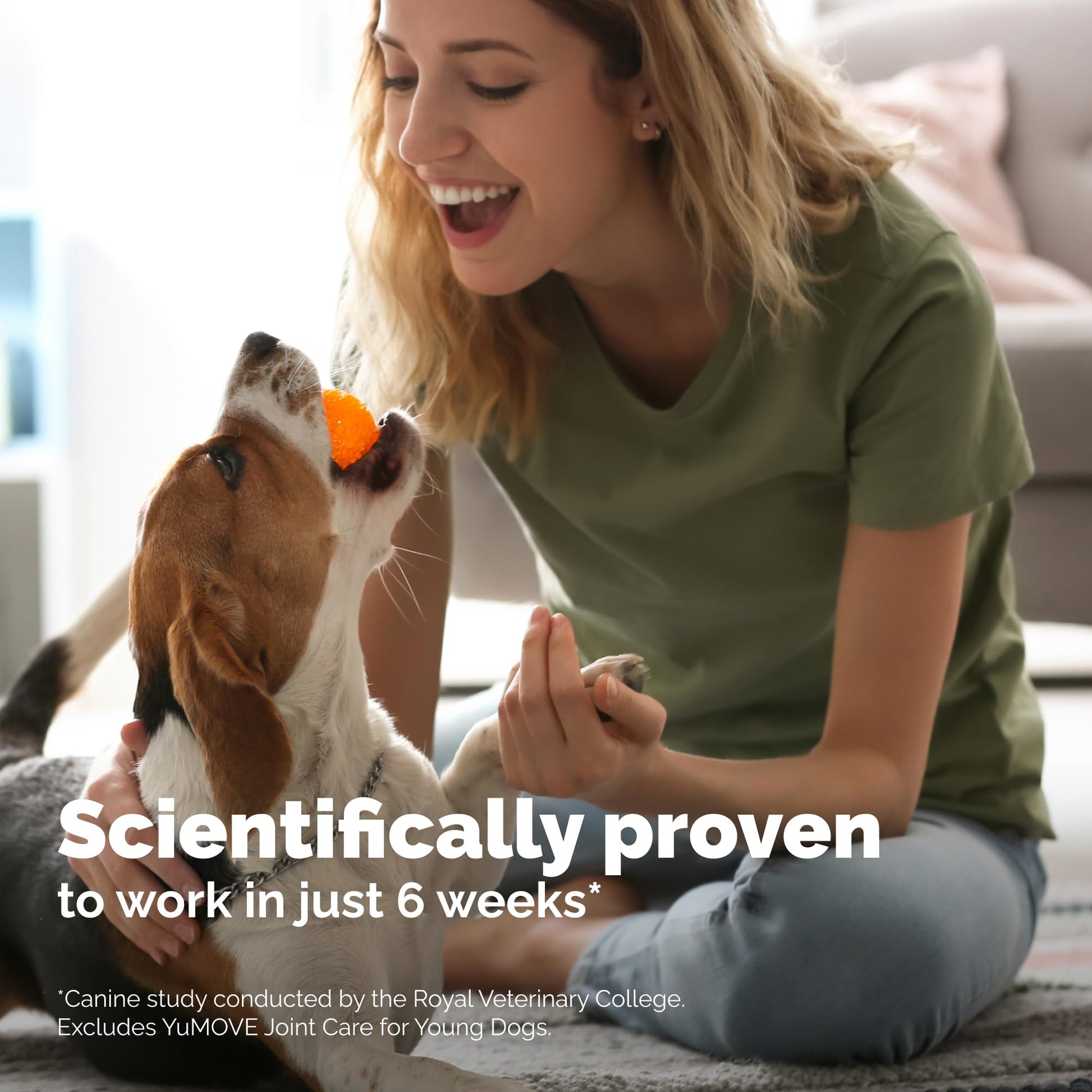 Yumove Hip & Joint Supplement for Dogs with Glucosamine, Hyaluronic Acid, Green Lipped Mussel & Omega 3 Joint Supplement - Regular or Advanced Strength (90 Count, Advanced Vet Strength Soft Chews) - Maple Wellness Supplements
