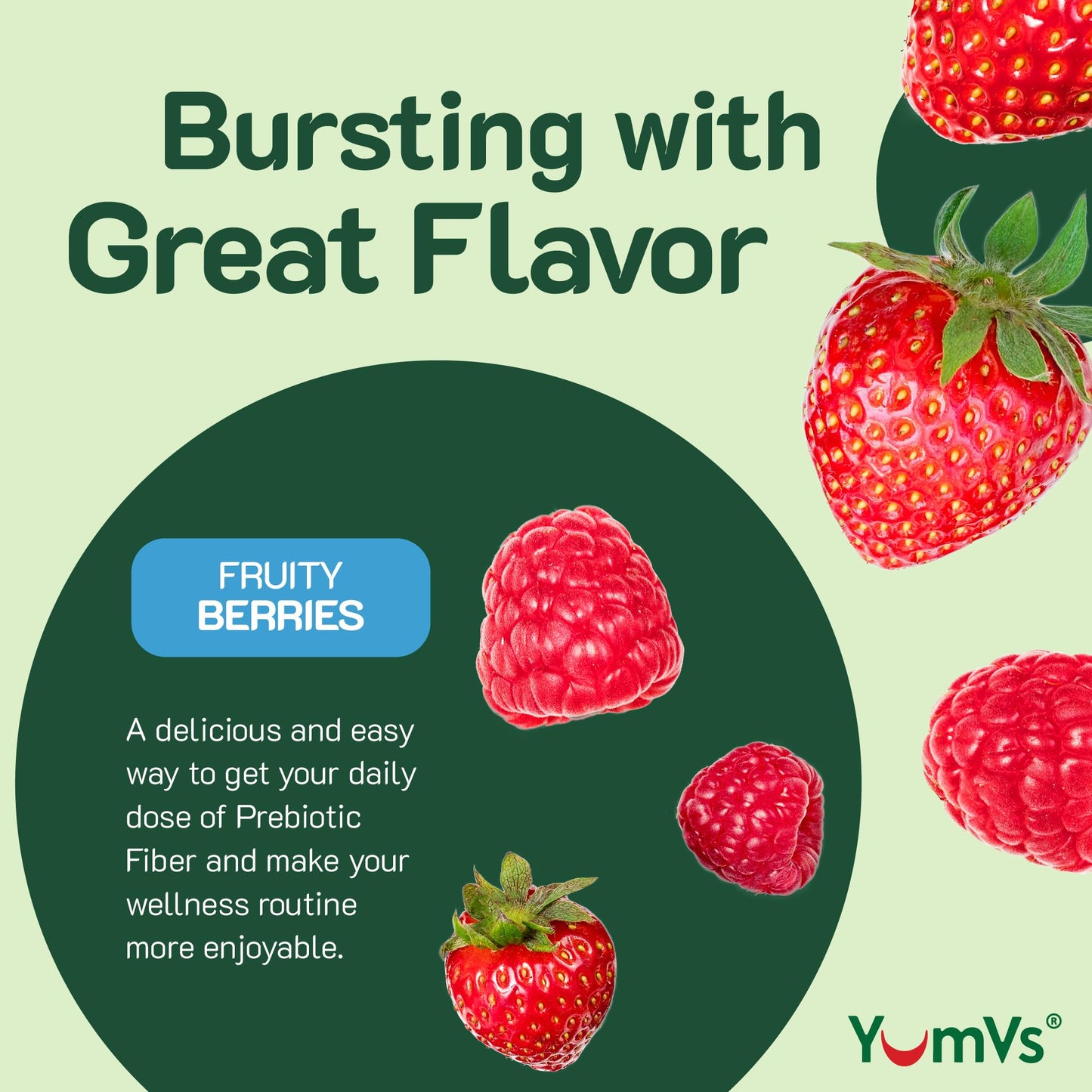 YumVs Sugar Free Prebiotic Fiber Gummies for Adults and Kids - Berry Flavor - Kosher Halal 4g High Fiber Supplement for Women and Men - Maple Wellness Supplements