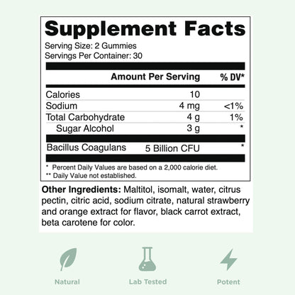 Yuve Natural Sugar Free Probiotic Gummies 5 Billion CFU, Helps with Constipation, Bloating & Leaky Gut - Vegan, Gluten-Free & Non-GMO - 60ct - Maple Wellness Supplements
