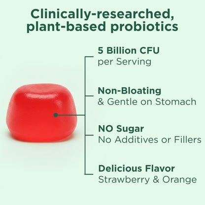 Yuve Natural Sugar Free Probiotic Gummies 5 Billion CFU, Helps with Constipation, Bloating & Leaky Gut - Vegan, Gluten-Free & Non-GMO - 60ct - Maple Wellness Supplements