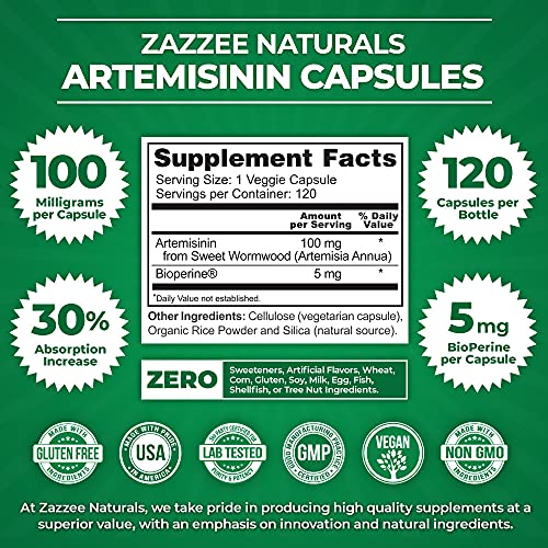 Zazzee High Absorption Artemisinin, 100 mg per Capsule, 120 Vegan Capsules, with 5 mg - Maple Wellness Supplements