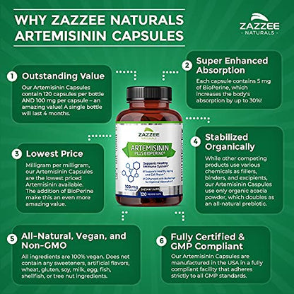 Zazzee High Absorption Artemisinin, 100 mg per Capsule, 120 Vegan Capsules, with 5 mg - Maple Wellness Supplements