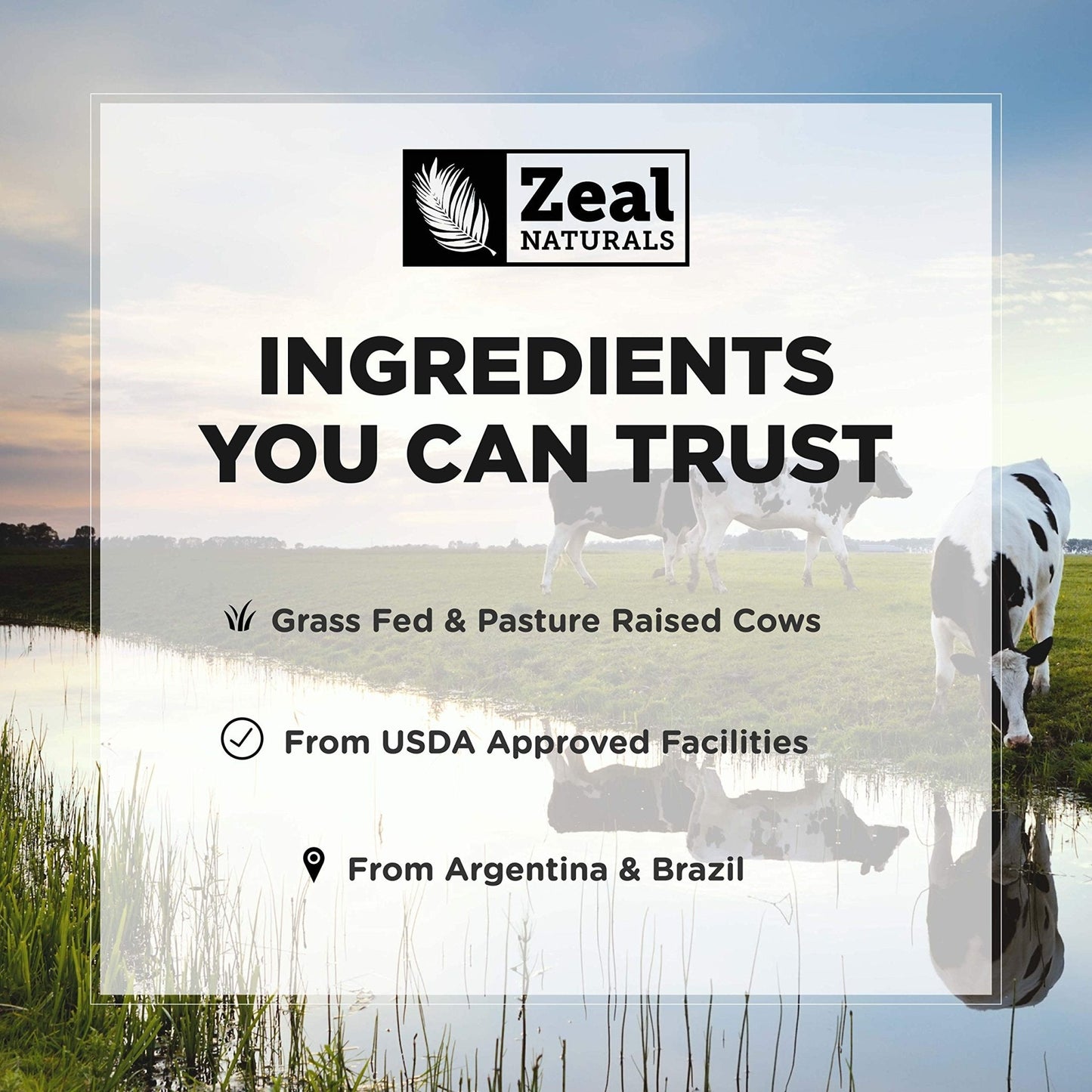 Zeal Naturals Collagen Peptides Collagen Pills (360 Capsules) Grass Fed Collagen Pepetide Powder - Hydrolyzed Collagen Powder for JointTendon SupplementHair Skin and Nails - Maple Wellness Supplements