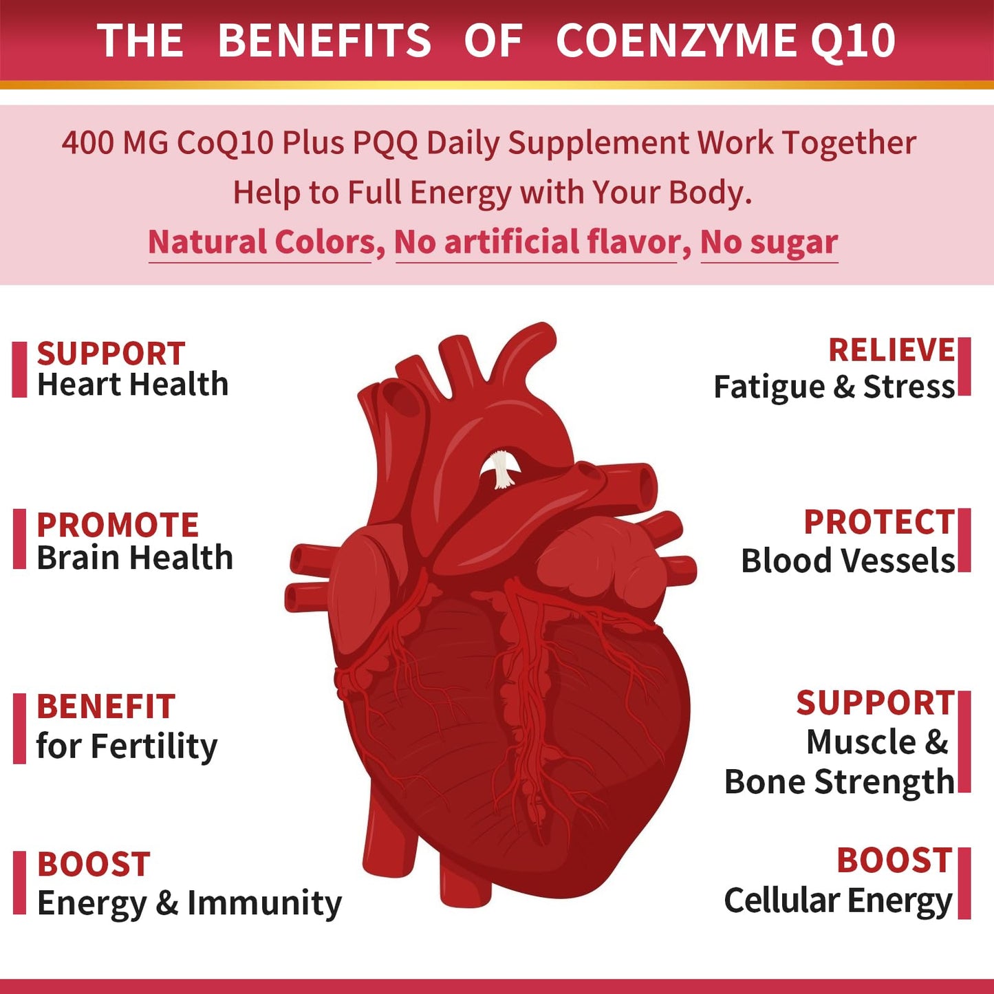 ZEBORA CoQ10-400mg-Softgels with PQQ, BioPerine & Omega-3, Coenzyme Q10(Ubiquinone) Supplement for High-Absorption, Powerful-Antioxidant - Maple Wellness Supplements