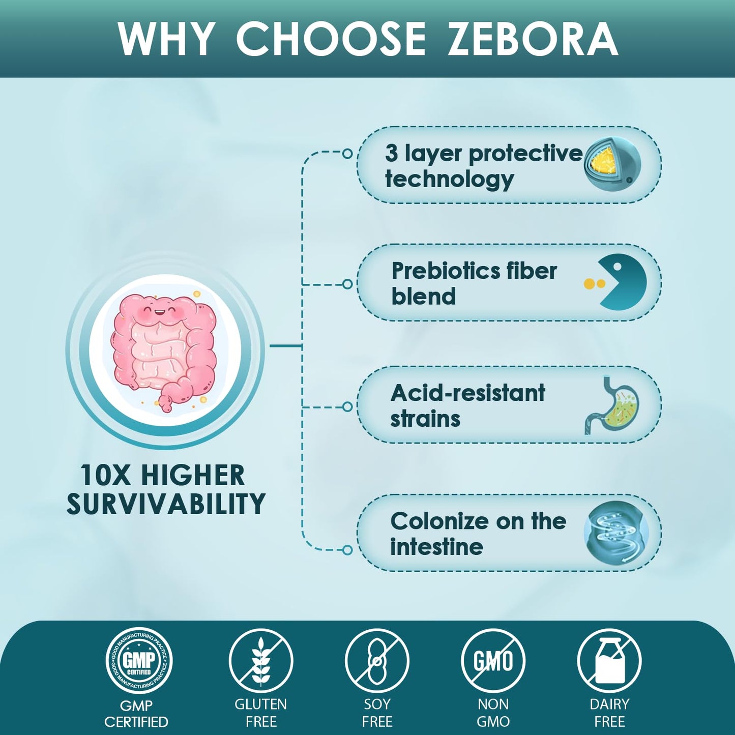 ZEBORA Probiotics for Men and Prebiotics for Digestive Health, 90 Tablets, 60 Billion CFUs for Immune and Gut Health, 10 Strains, Hypoallergenic Probiotics, - Maple Wellness Supplements
