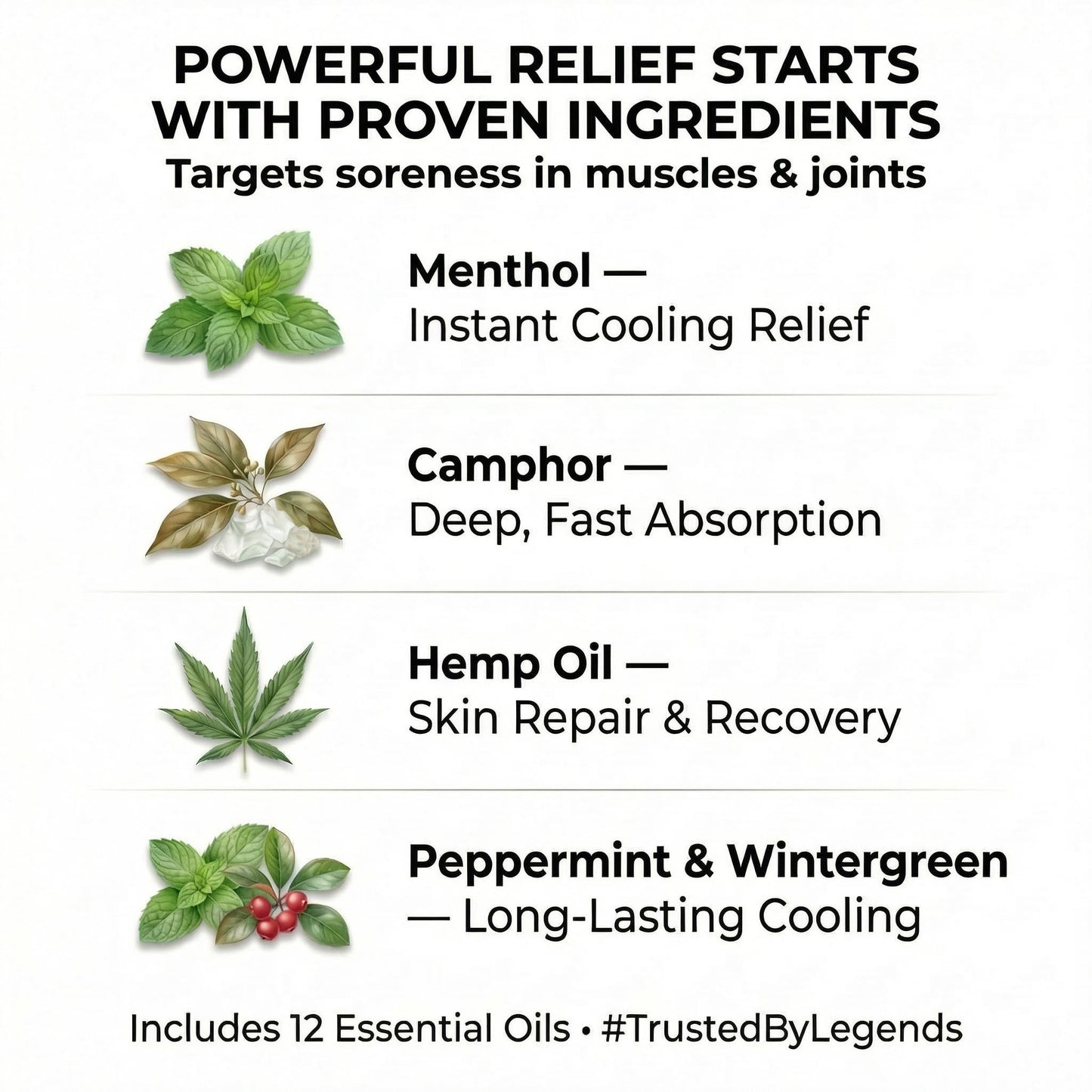 ZEN Hemp Balm 3 Pack – Fast-Acting Pain Relief for Muscles & Joints – Plant-Based Topical – 0.7 oz Each - Maple Wellness Supplements