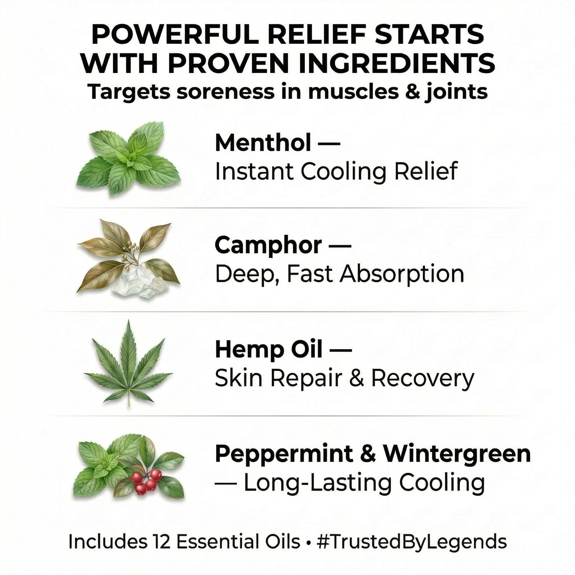 ZEN Hemp Balm 3 Pack – Fast-Acting Pain Relief for Muscles & Joints – Plant-Based Topical – 0.7 oz Each - Maple Wellness Supplements