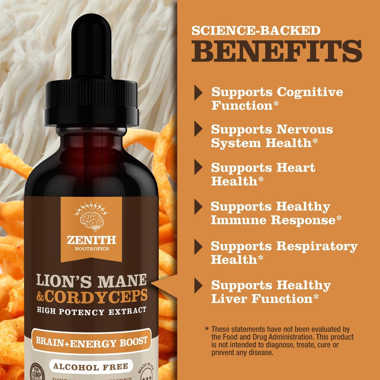 Zenith Nootropics Lion’s Mane & Cordyceps Supplement – Brain & Energy Support – Focus, Memory, Clarity, Immunity – Vegan, Alcohol-Free Tincture – Up-to 2-Month Supply, 2 fl oz - Maple Wellness Supplements