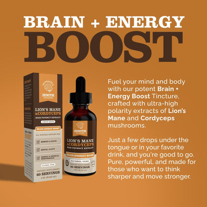 Zenith Nootropics Lion’s Mane & Cordyceps Supplement – Brain & Energy Support – Focus, Memory, Clarity, Immunity – Vegan, Alcohol-Free Tincture – Up-to 2-Month Supply, 2 fl oz - Maple Wellness Supplements