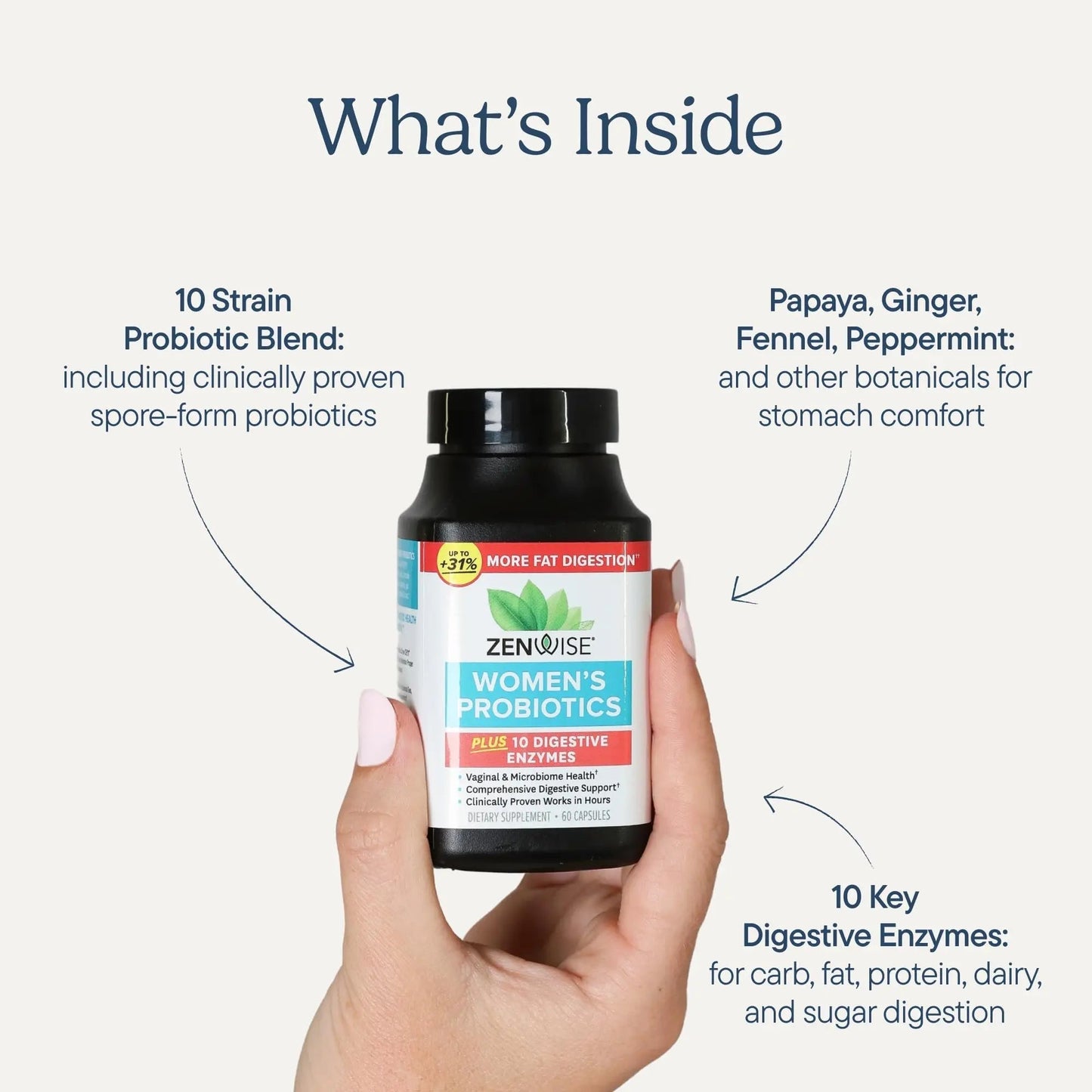 Zenwise Health 3-in-1 Womens Probiotic Supplement for Digestive, Gut Flora & Vaginal Health - Daily Probiotics & Prebiotics for Women with Digestive Enzymes Supports Bloating & Gas Relief - 60 Count - Maple Wellness Supplements