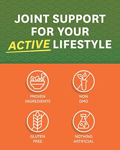 Zenwise Health Glucosamine Chondroitin MSM - Joint Support Supplement with Turmeric - Maple Wellness Supplements