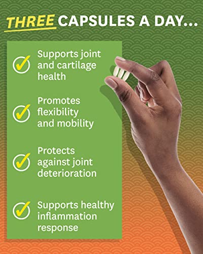 Zenwise Health Glucosamine Chondroitin MSM - Joint Support Supplement with Turmeric - Maple Wellness Supplements