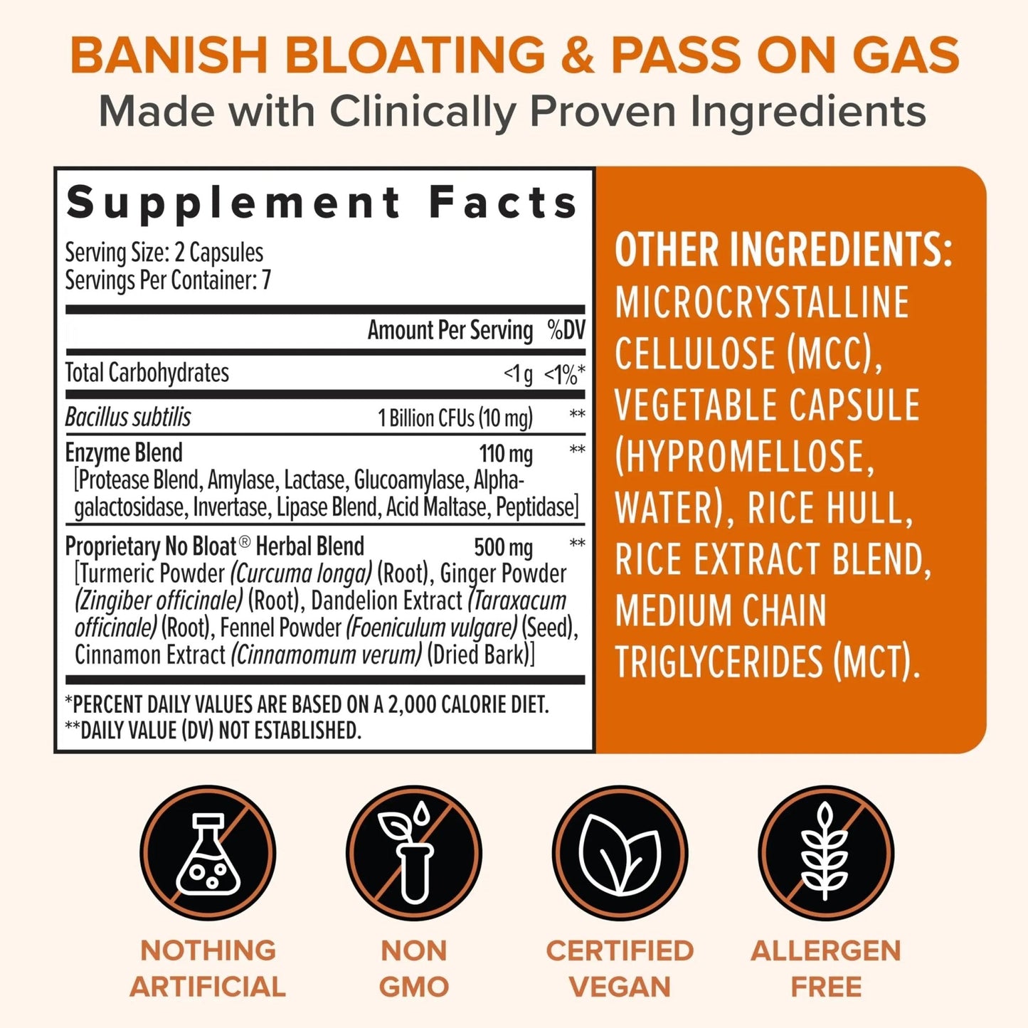 Zenwise Health No Bloat Probiotics for Women and Men Digestive Health with Ginger, Dandelion, and Lactase, Digestive Enzymes for Gas and Bloating Relief - Vegan Water Retention Pills - 14 CT - Maple Wellness Supplements