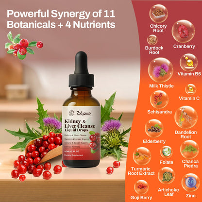 Zeolite Detox Drops for Kids & Kidney Cleanse Drops for Adults - Liquid Supplement Duo with Vitamins C B12 D3, Cranberry, Chanca Piedra, Milk Thistle & Herbal Blend - Mixed Berry & Cranberry Flavor, 6 - Maple Wellness Supplements