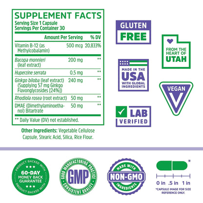 Zhou Neuro-Peak - Brain Supplements for Memory and Focus, Nootropic for Men & Women, Brain Support Pill for Adults, Brain Vitamins - 30 Veggie Capsules (Pack of 1) - Maple Wellness Supplements